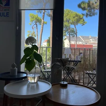 De Charme Sous Les Pins Au Calme